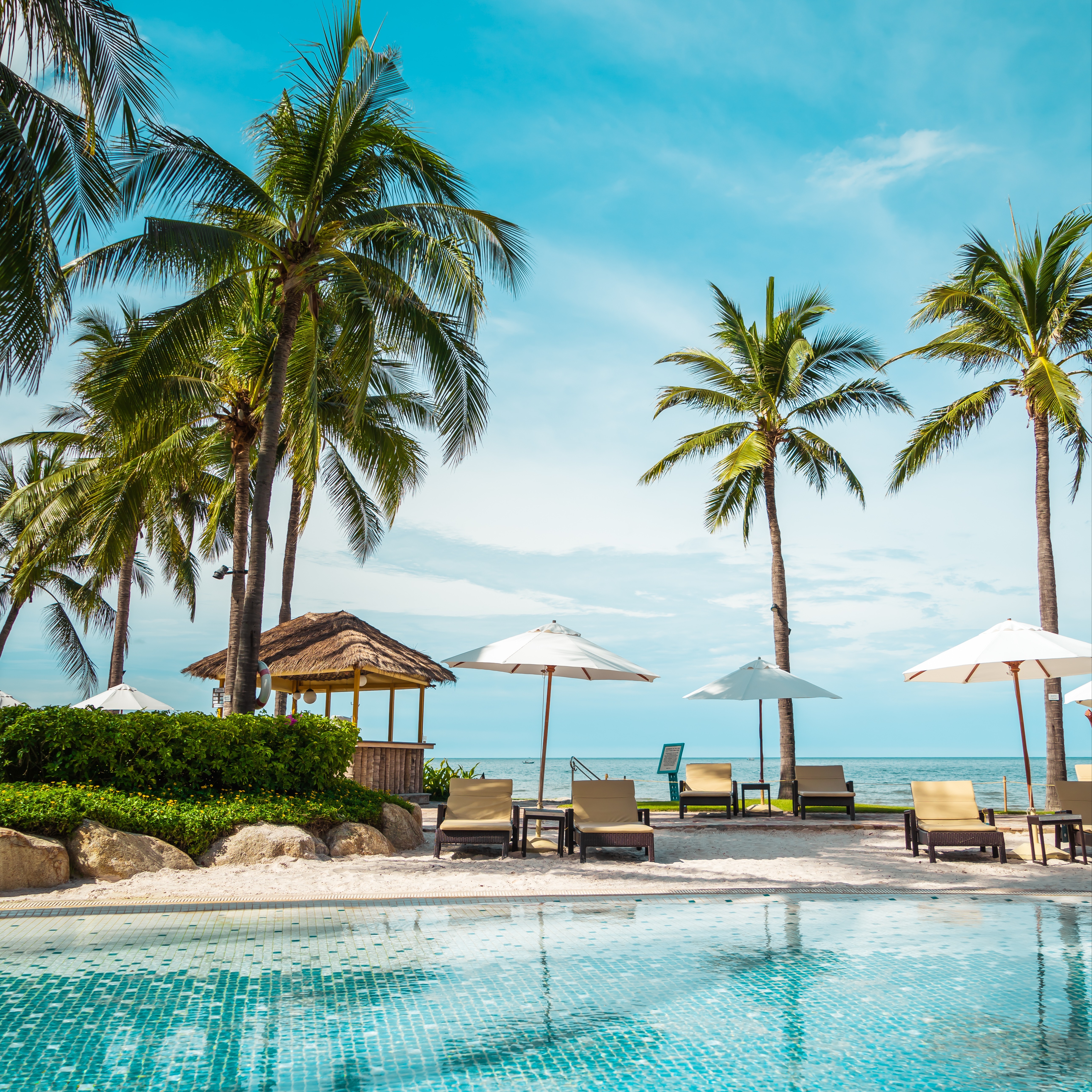 AdobeStock_565533854-1